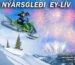 Nyarsgledi23