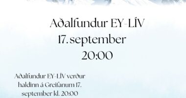 Adalfundur_EY_LIV_26